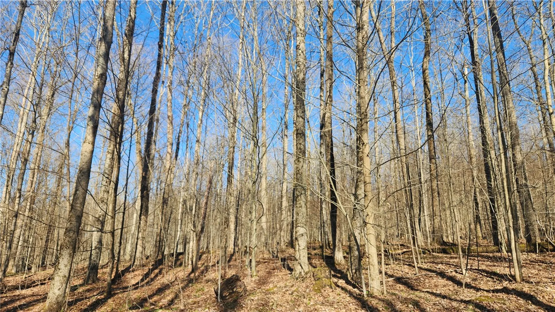 Property at Humphrey Road, Humphrey, NY 14741 27