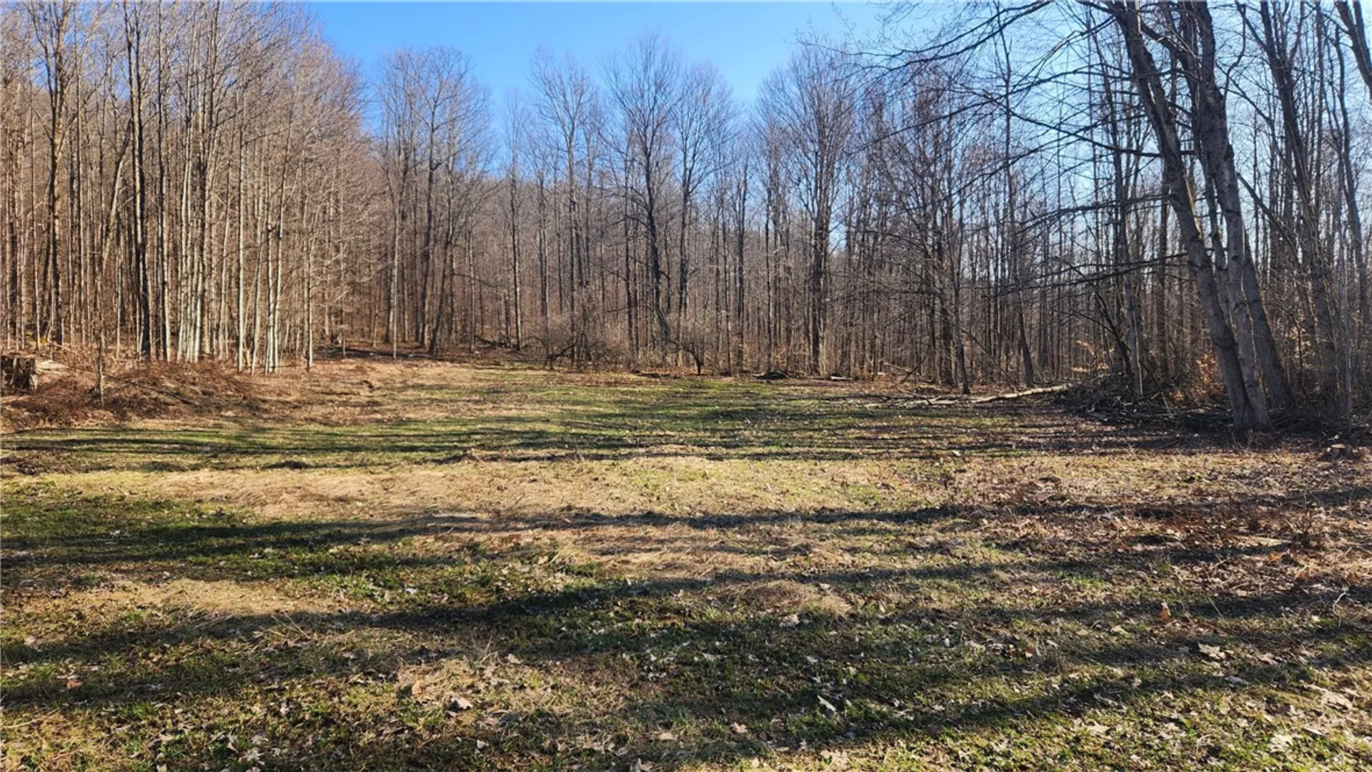 Property at Humphrey Road, Humphrey, NY 14741 28