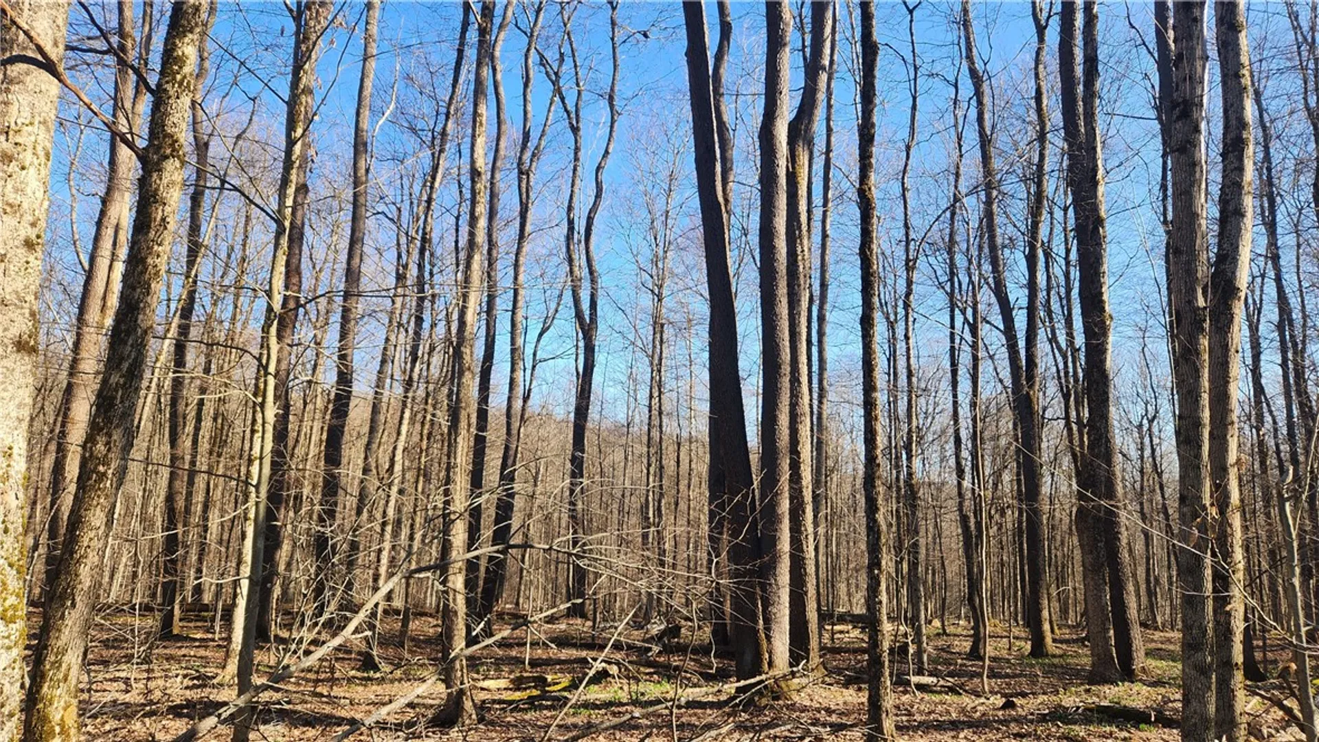 Property at Humphrey Road, Humphrey, NY 14741 29