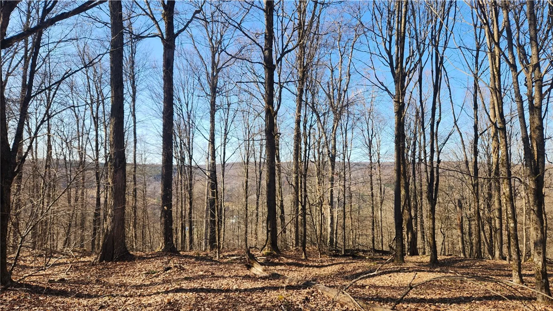 Property at Humphrey Road, Humphrey, NY 14741 30