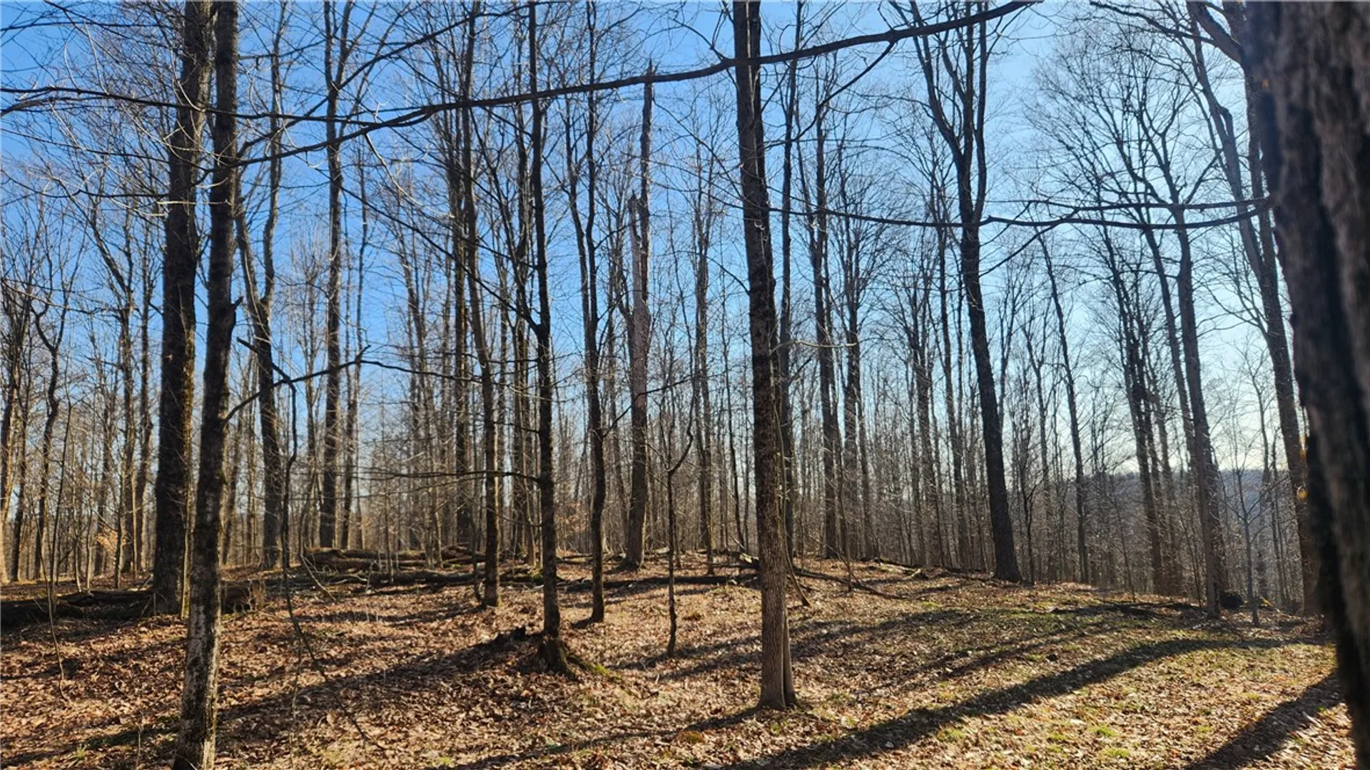 Property at Humphrey Road, Humphrey, NY 14741 31