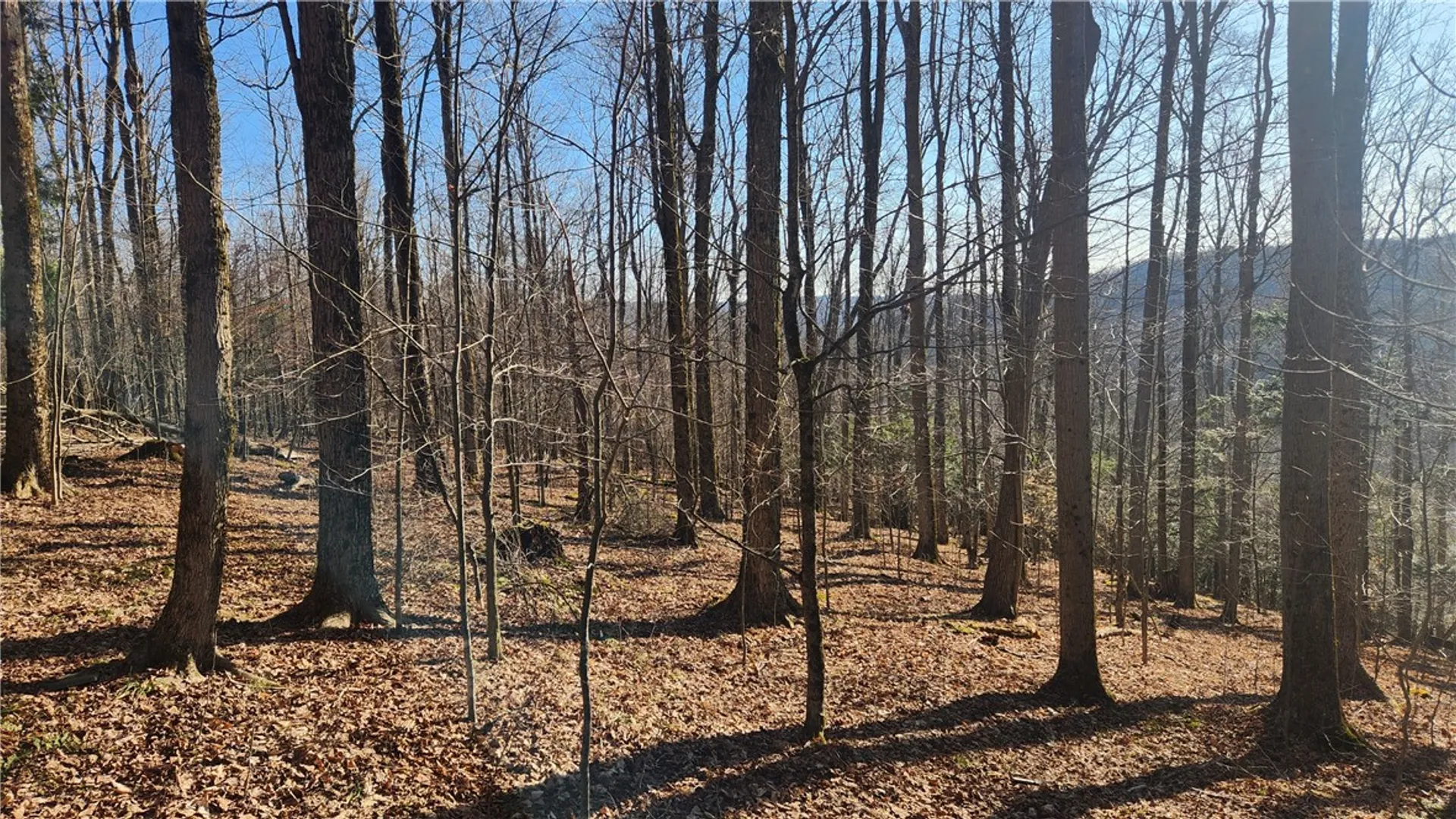 Property at Humphrey Road, Humphrey, NY 14741 32