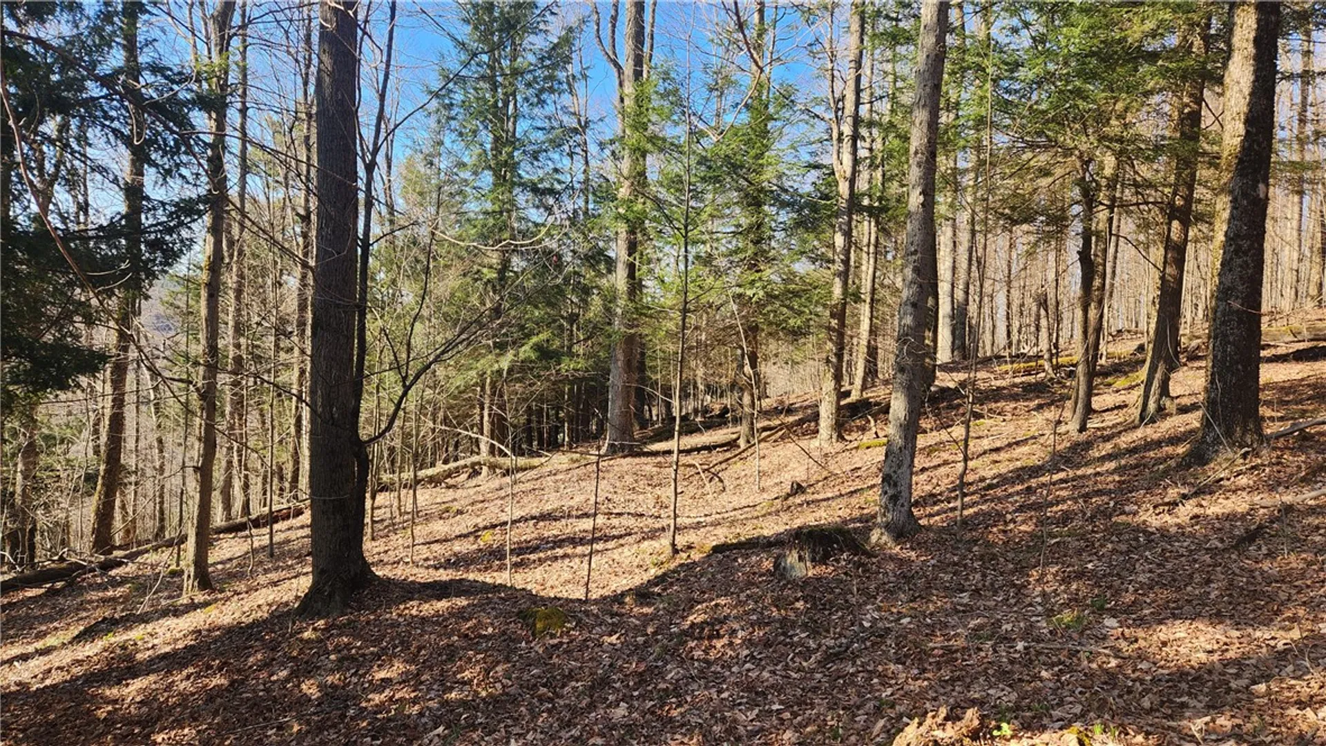 Property at Humphrey Road, Humphrey, NY 14741 33