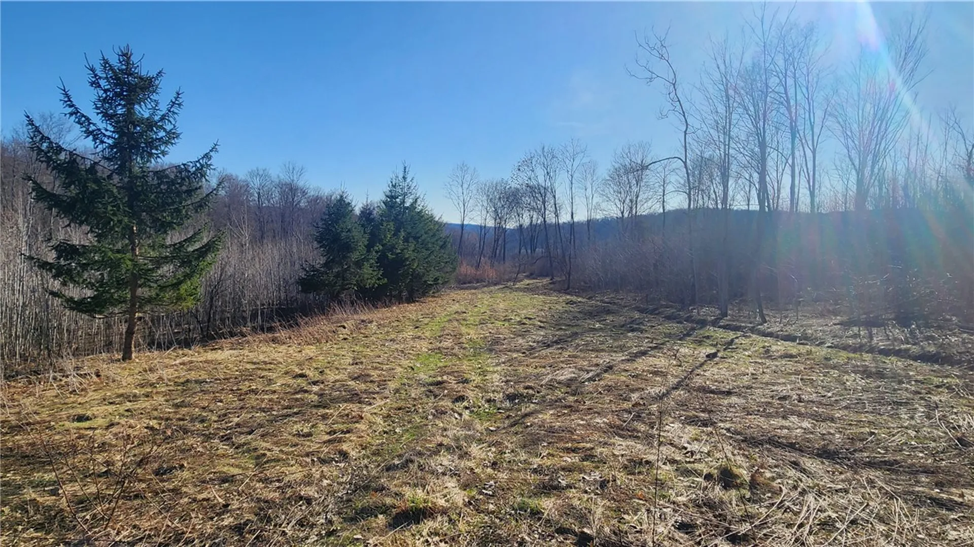 Property at Humphrey Road, Humphrey, NY 14741 34