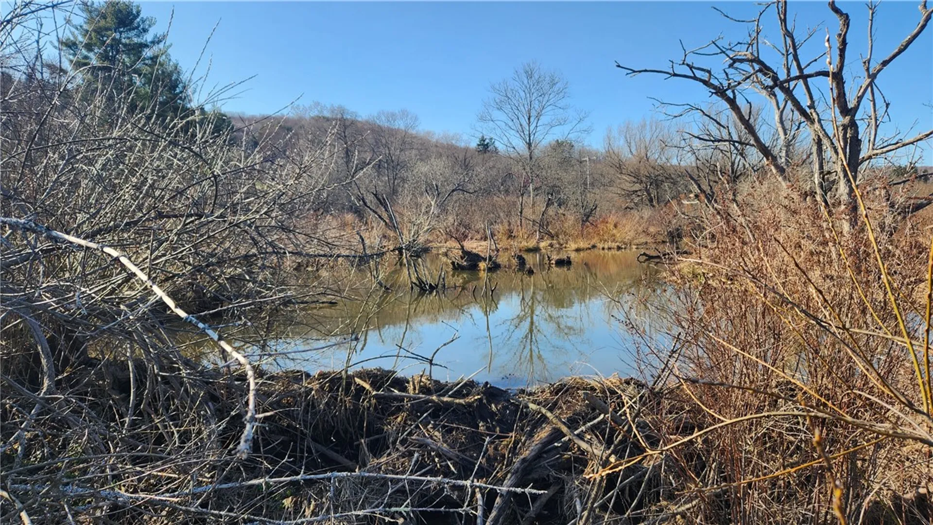 Property at Humphrey Road, Humphrey, NY 14741 36