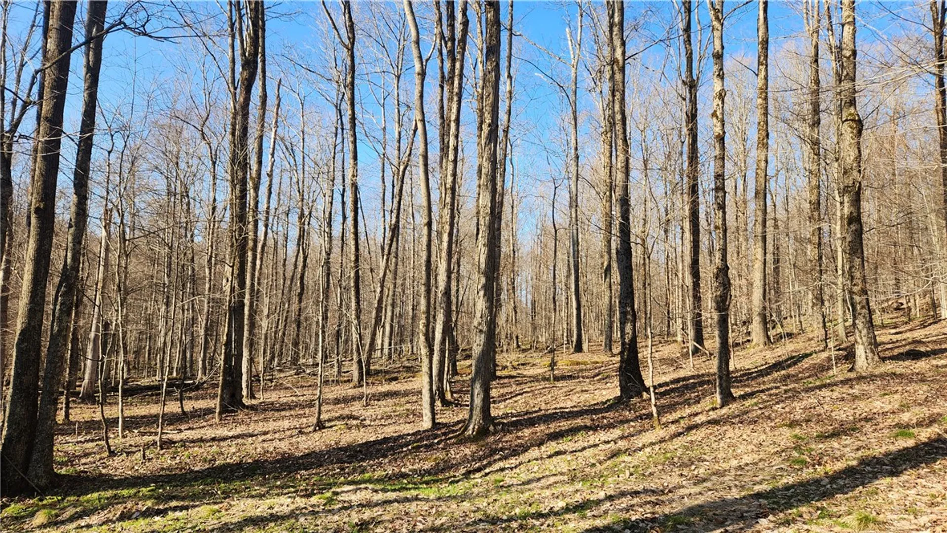 Property at Humphrey Road, Humphrey, NY 14741 40