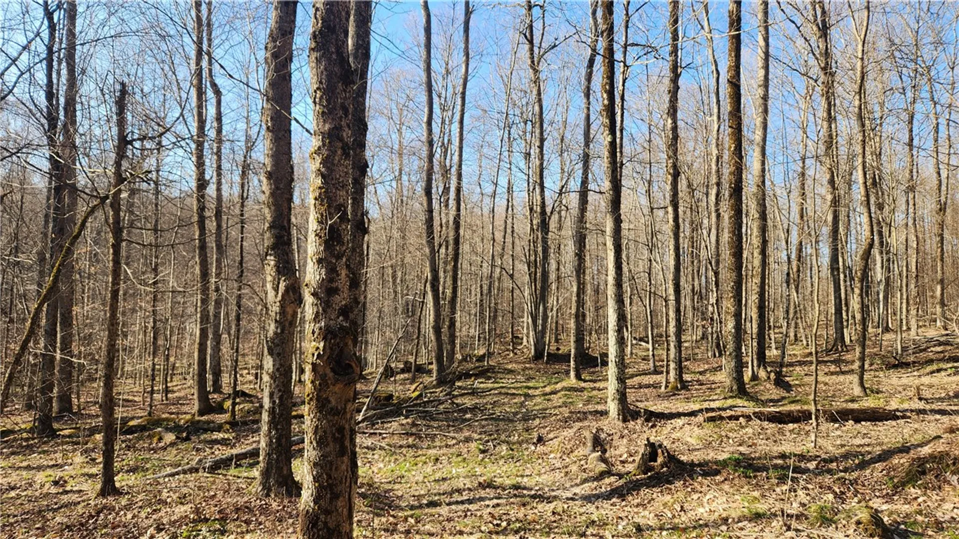 Property at Humphrey Road, Humphrey, NY 14741 41