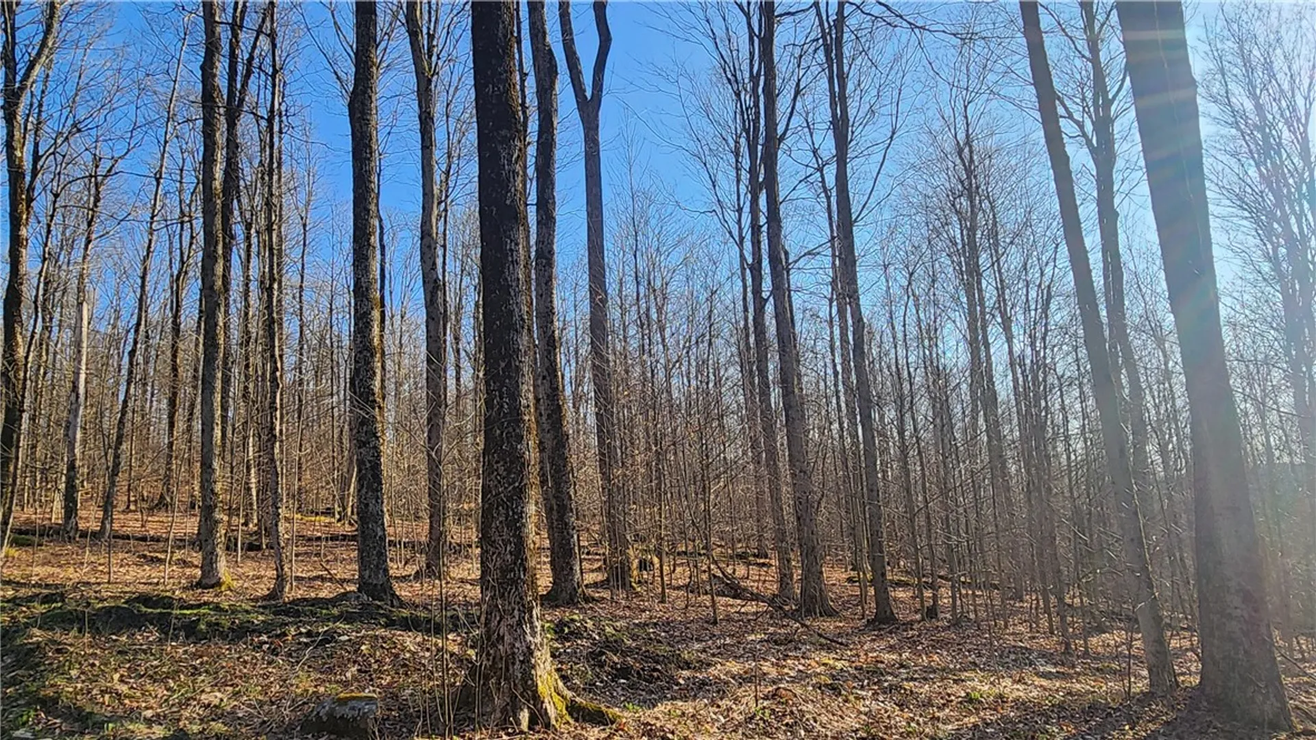 Property at Humphrey Road, Humphrey, NY 14741 42