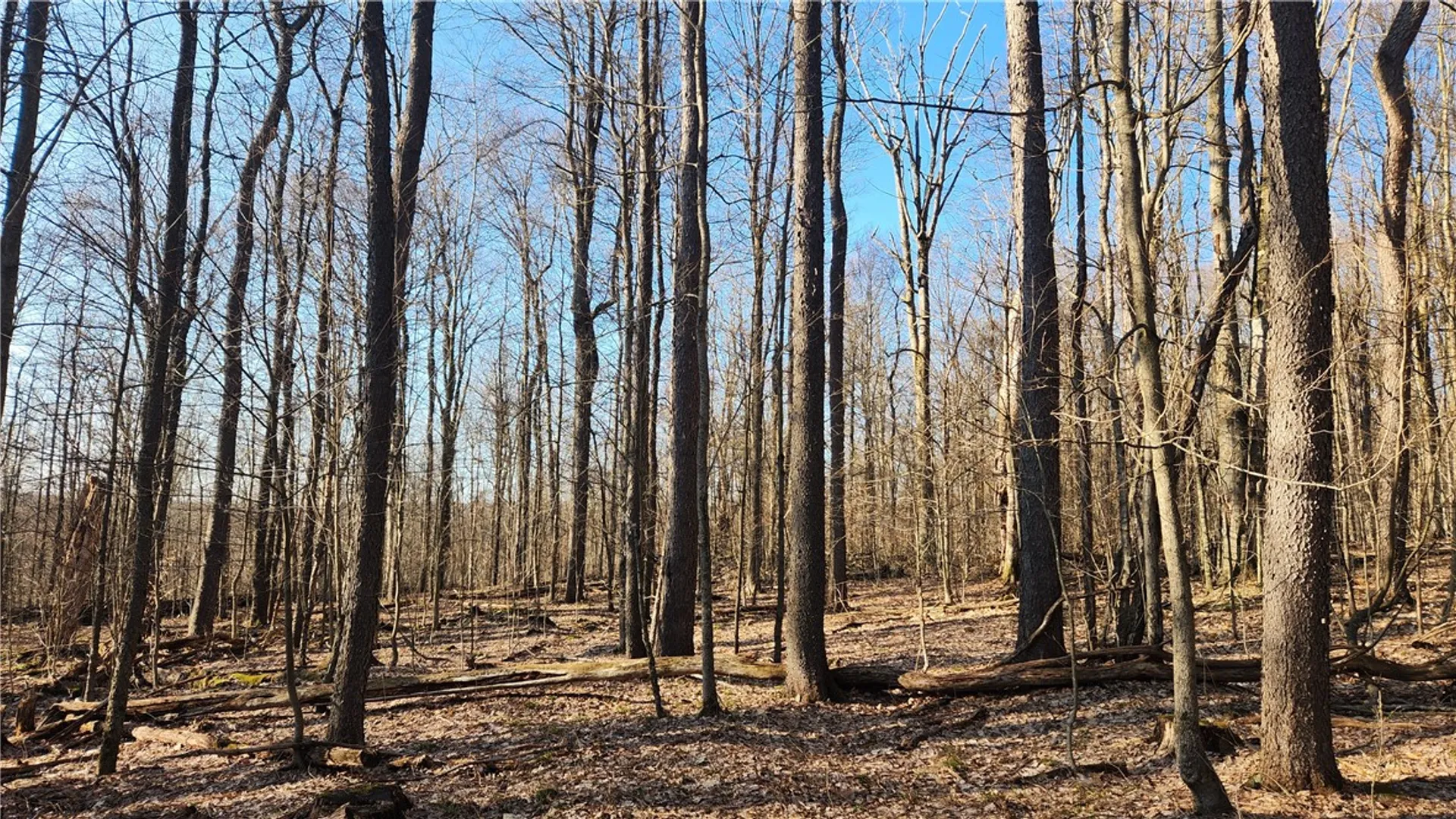 Property at Humphrey Road, Humphrey, NY 14741 44