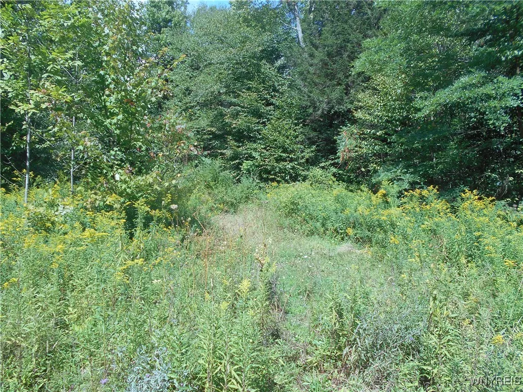 Property at 0 Cheeseman Hill Road, Freedom, NY 14065