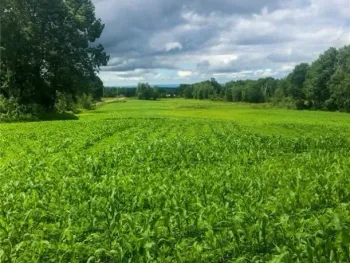 Property at Kerber Road, Ava, NY 13303