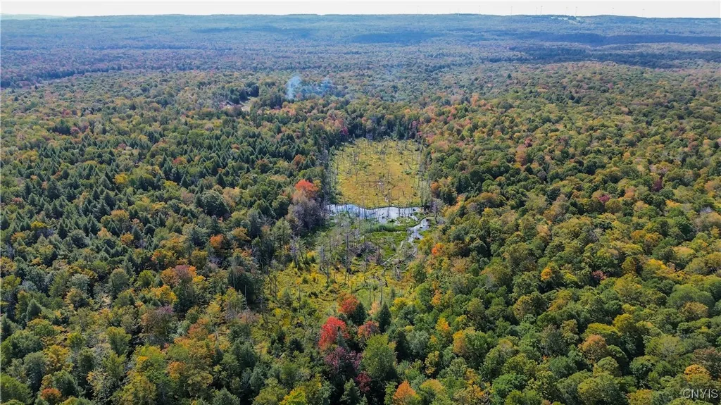 Property at 999 Jerseyfield Road, Salisbury, NY 13365