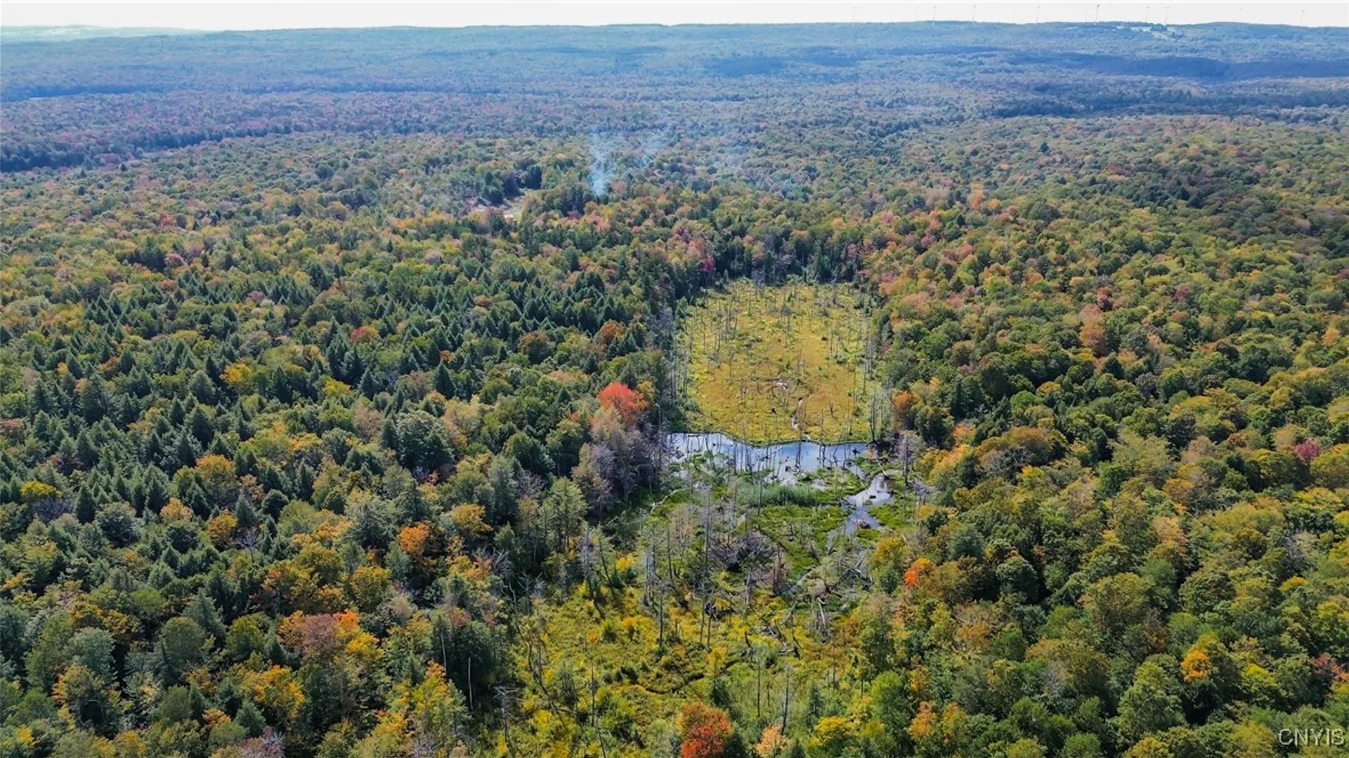 Property at 999 Jerseyfield Road, Salisbury, NY 13365 3