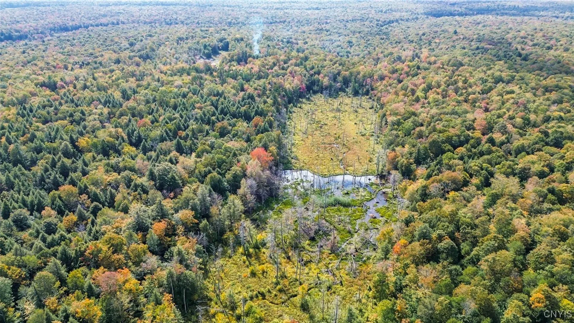 Property at 999 Jerseyfield Road, Salisbury, NY 13365 4