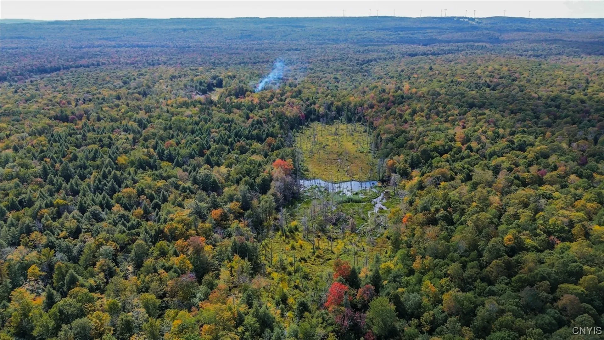 Property at 999 Jerseyfield Road, Salisbury, NY 13365 10