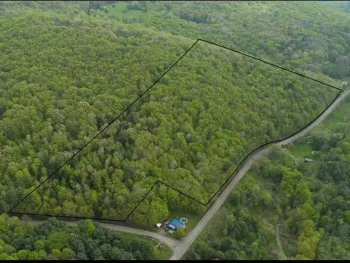 Property at 0 Johnson Hollow & Buck Mountain Road, Catlin, NY 14864