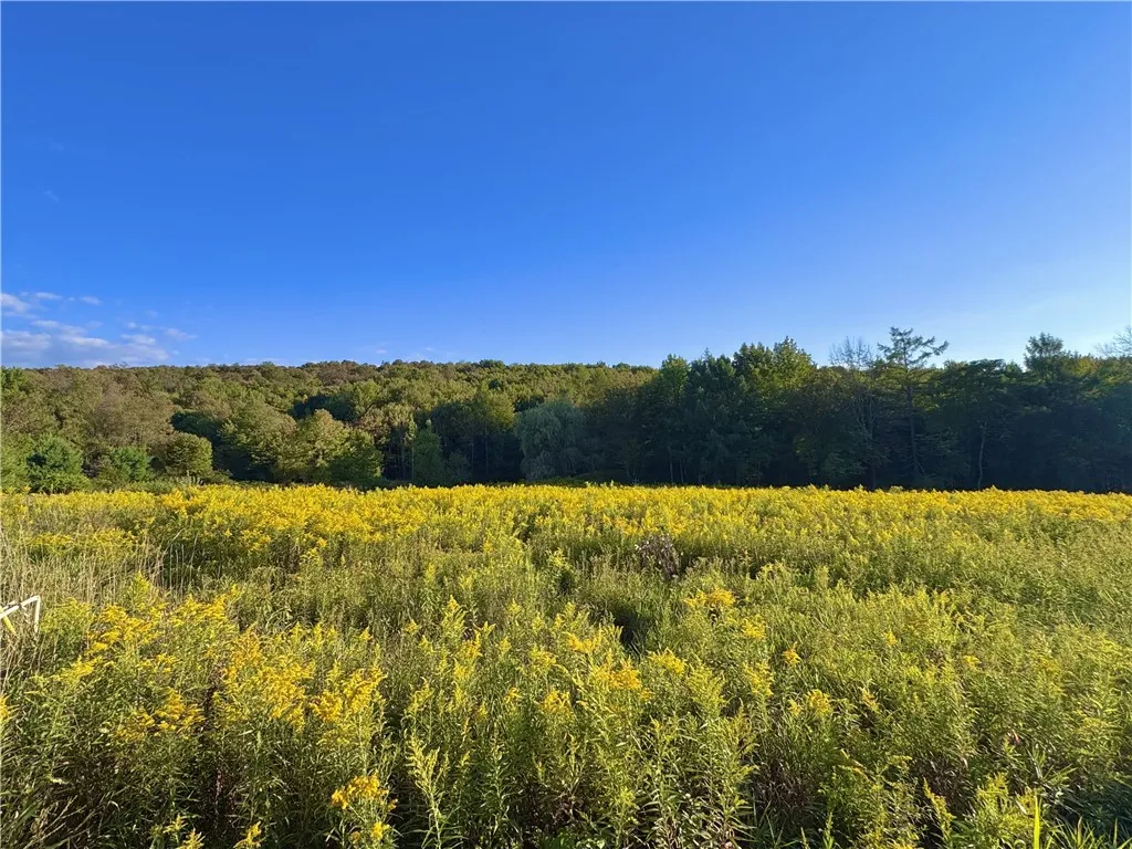 Property at 0 Campbell Road, Franklin, NY 13775