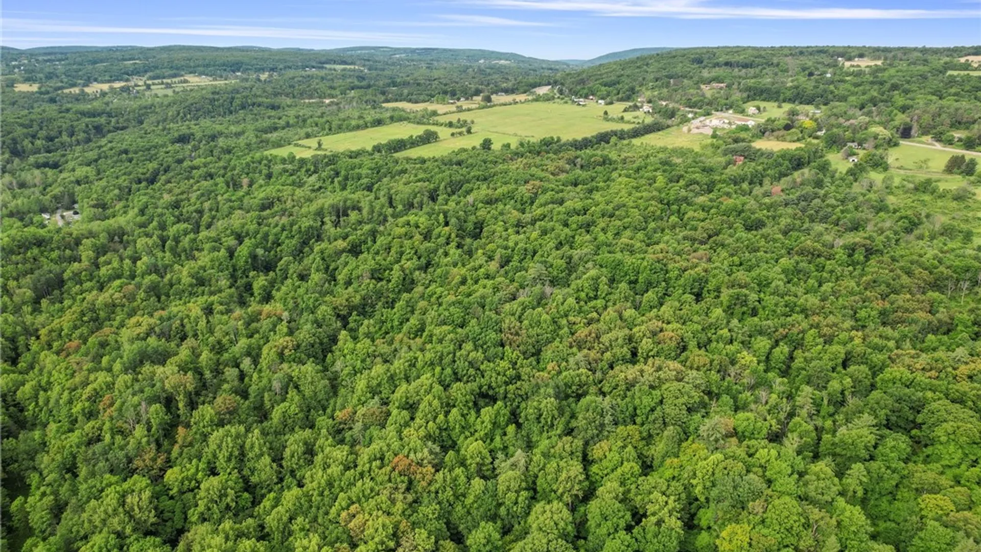 Property at 0 Elmira Road, Newfield, NY 14867 12
