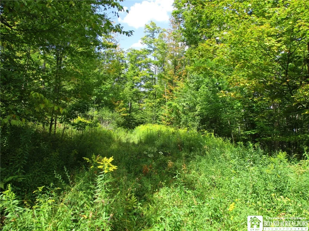 Property at 8250 Dobson Road, Birdsall, NY 14804