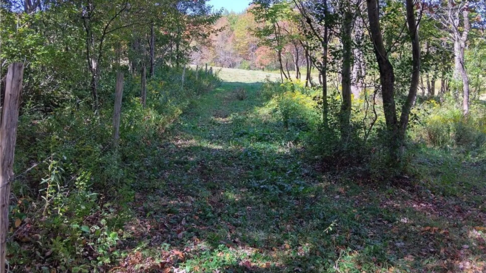 Property at part of 1991 Kotary Road, Lewis, NY 13325 10