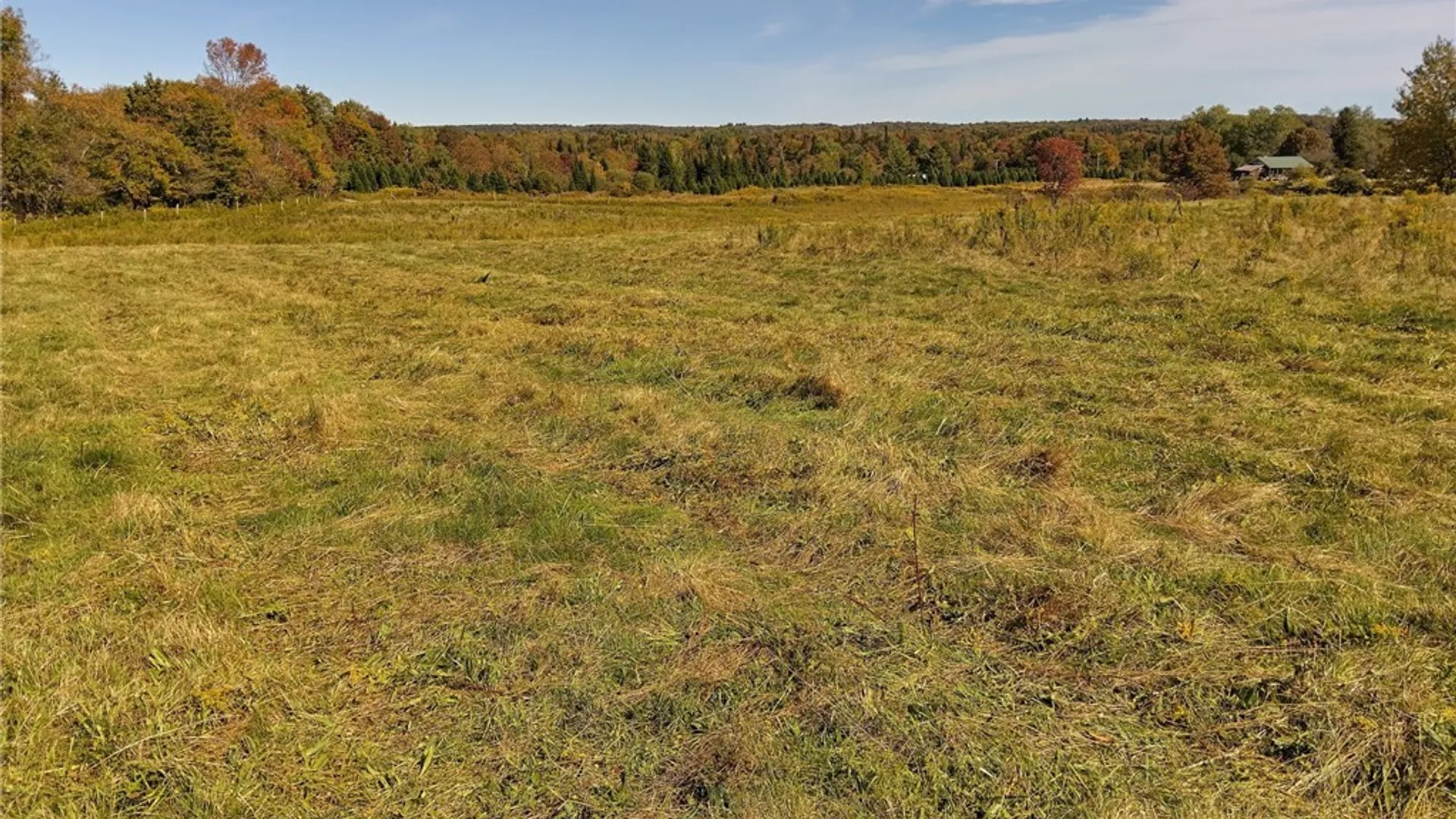 Property at part of 1991 Kotary Road, Lewis, NY 13325 12