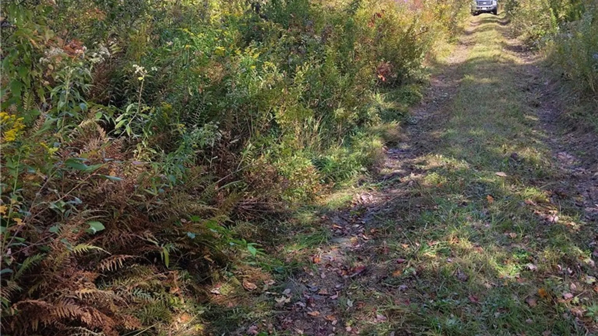 Property at part of 1991 Kotary Road, Lewis, NY 13325 16