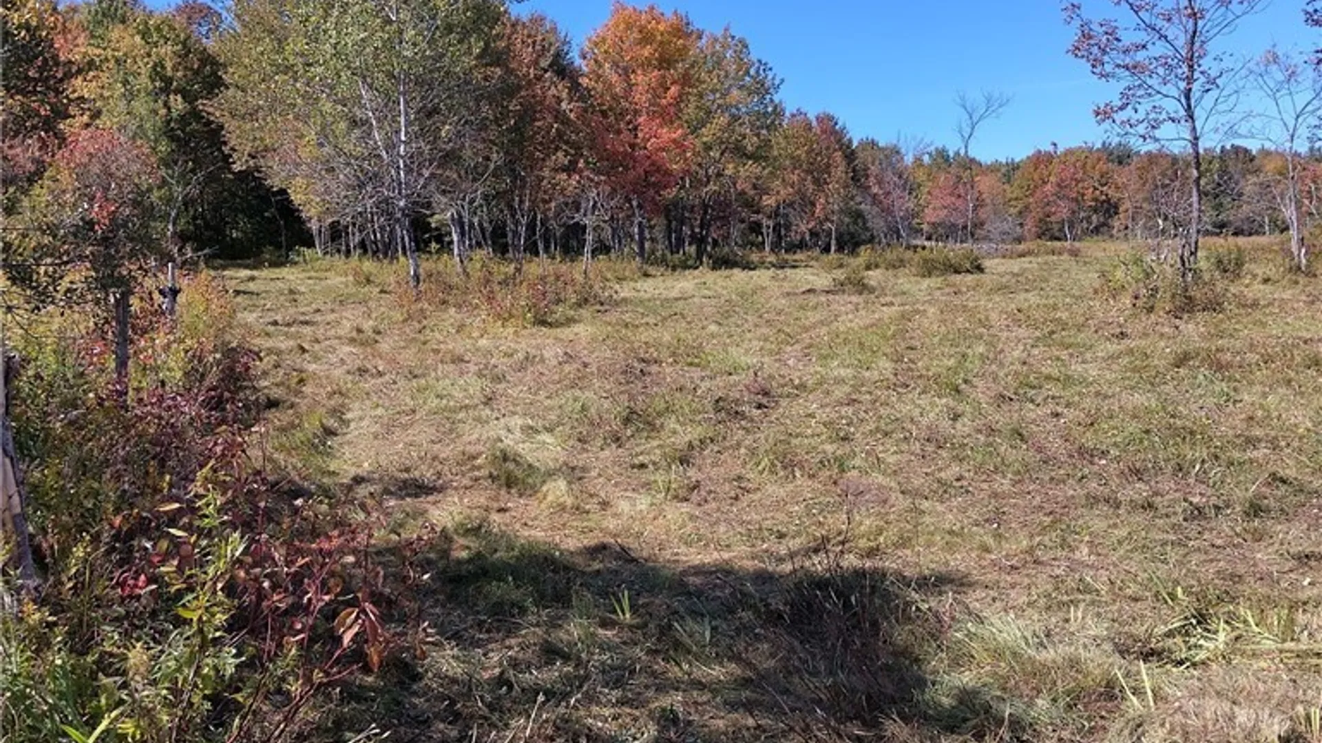Property at part of 1991 Kotary Road, Lewis, NY 13325 5
