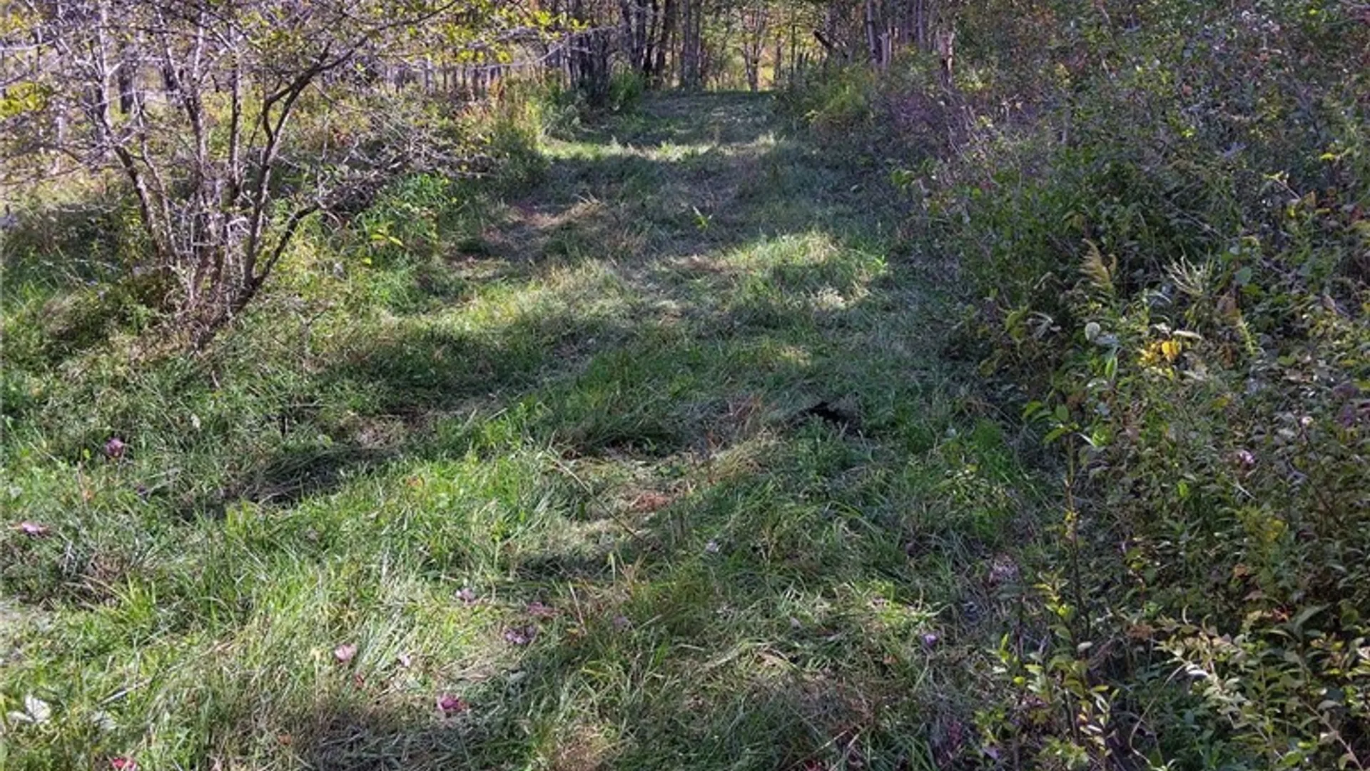 Property at part of 1991 Kotary Road, Lewis, NY 13325 9