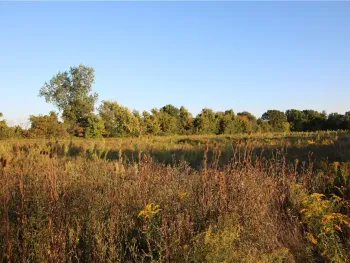 Property at N Manning Road, Clarendon, NY 14429