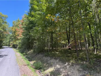 Property at Upson Road, Big Flats, NY 14814