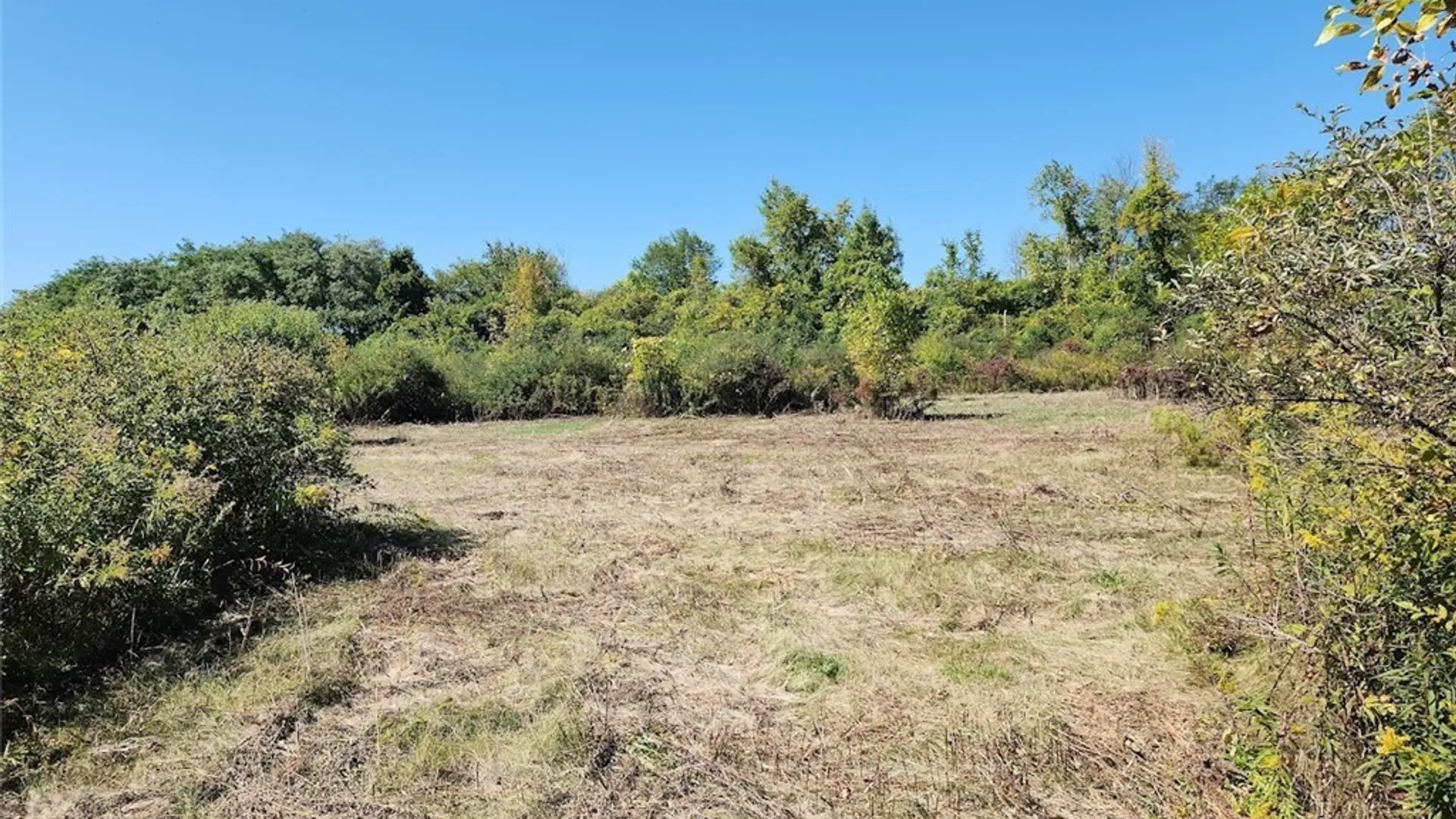 Property at 32032 Carter Street Road, Orleans, NY 13656 3