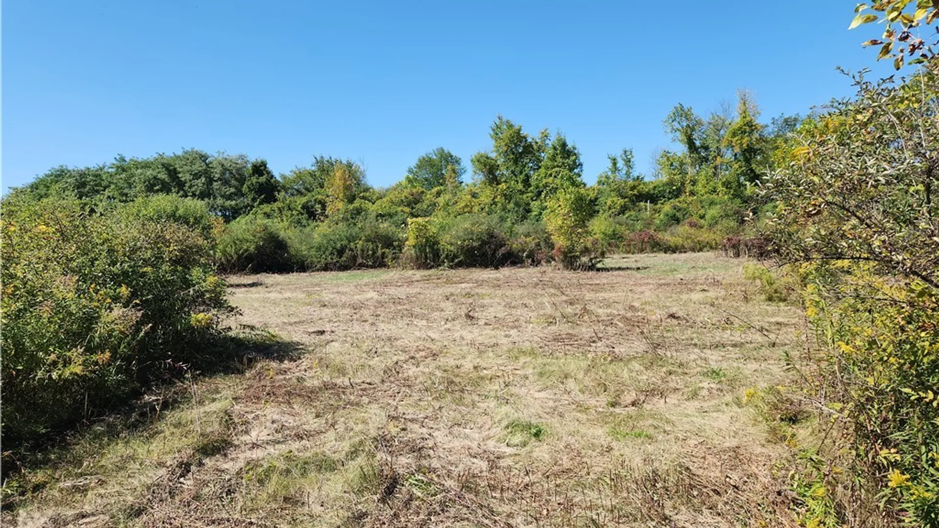 Property at 32032 Carter Street Road, Orleans, NY 13656 7