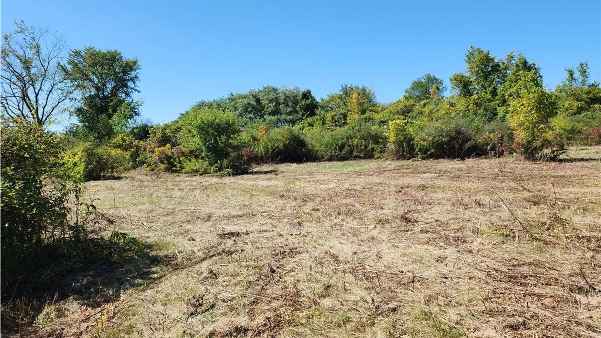 Property at 32032 Carter Street Road, Orleans, NY 13656 8