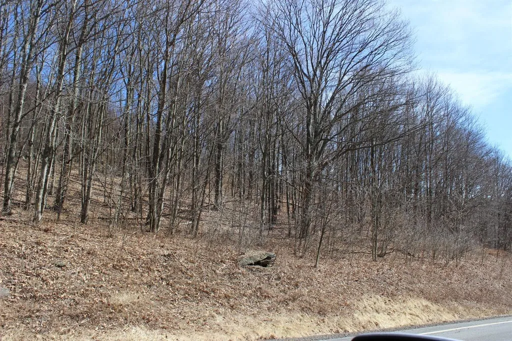 Property at 0 County Highway 26, Hamden, NY 13782