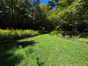 Property at 185 Kaine Road, Williamstown, NY 13302