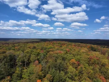 Property at 0 Route 6, Hamlin, PA 16735