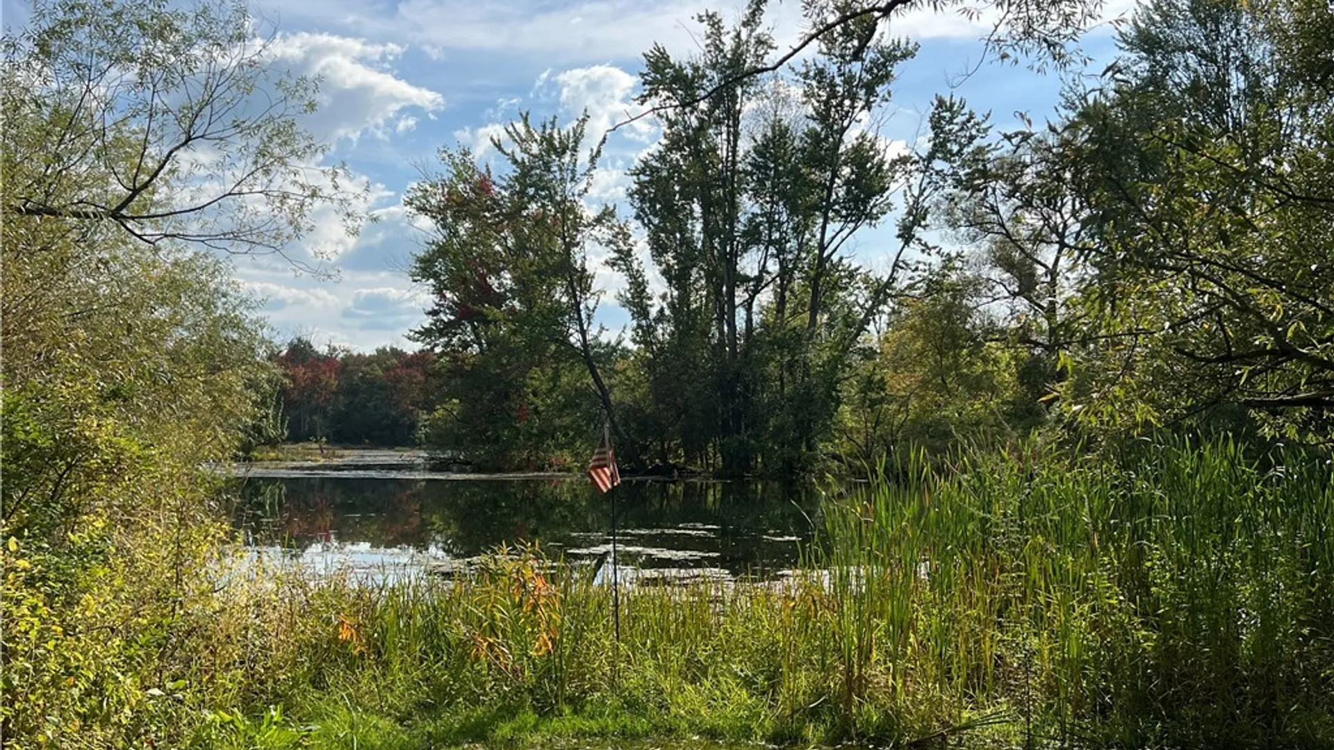 Property at 1720 Little York Crossing Road, Homer, NY 13077 9