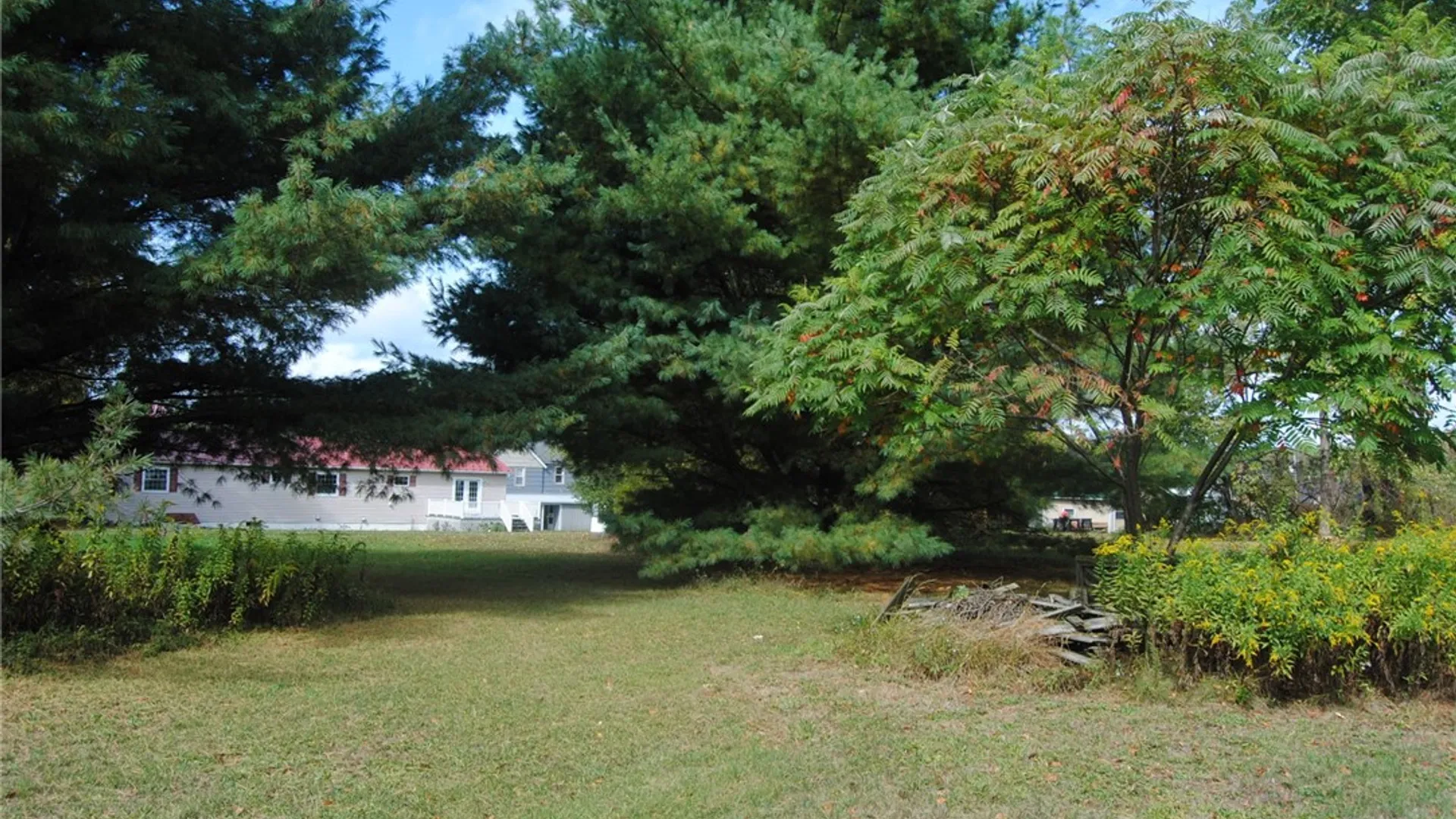 Property at 517 Park Avenue, Kane Boro, PA 16735 8