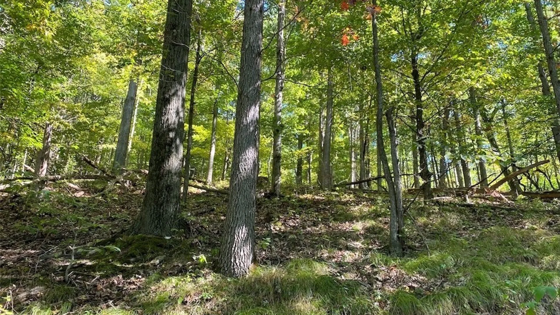 Property at 5218 Saunders Hill Road, Amity, NY 14813 20