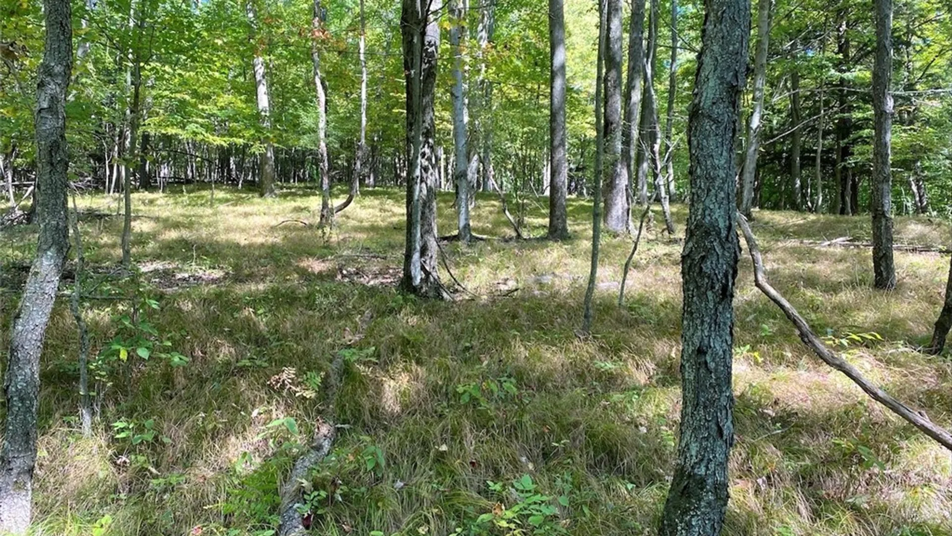Property at 5218 Saunders Hill Road, Amity, NY 14813 22