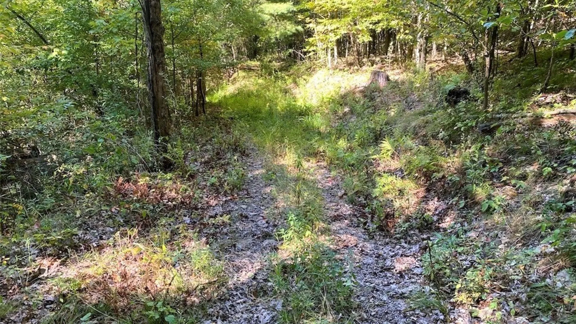 Property at 5218 Saunders Hill Road, Amity, NY 14813 19