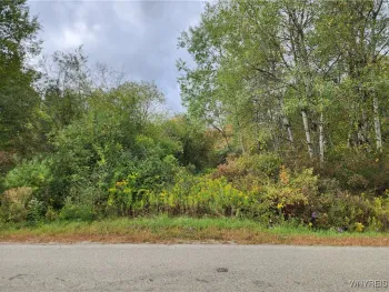 Property at 0 Caswell Road, Randolph, NY 14772