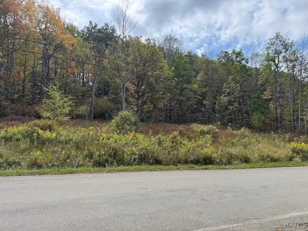 Property at Sherlock Hollow Road, Hinsdale, NY 14743