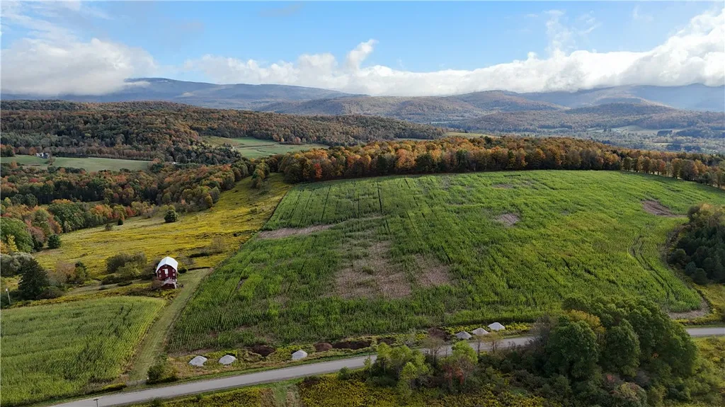 Property at 2943 Palmer Road, Willing, NY 14895