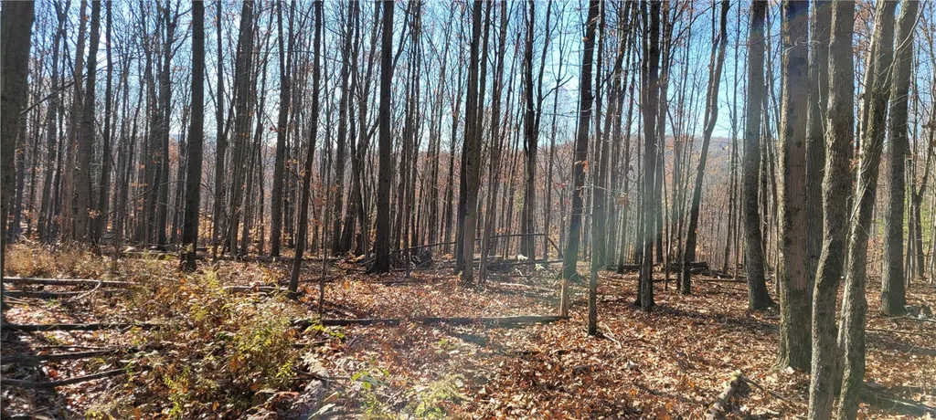 Property at Hagerman Road, Chemung, NY 14892