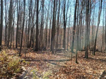 Property at Hagerman Road, Chemung, NY 14892