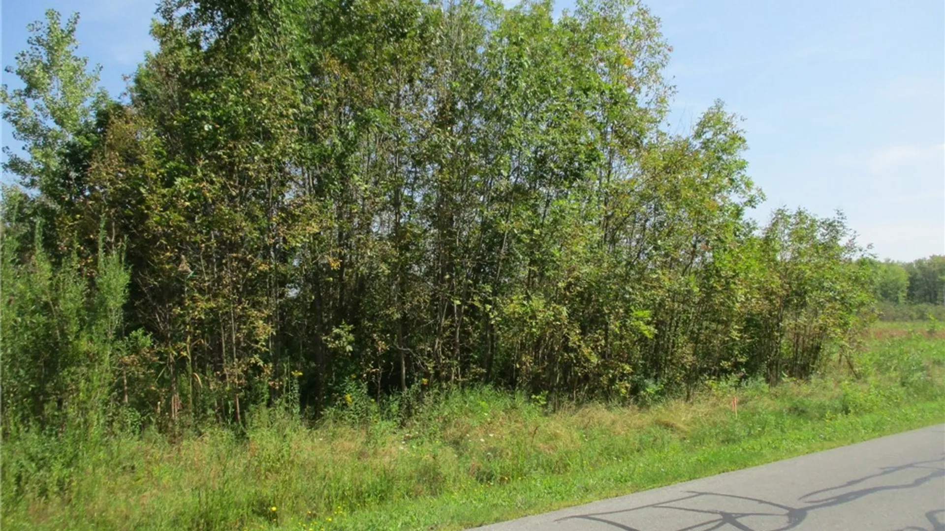 Property at 05 Hitchcock Point Road Road, Sullivan, NY 13037 9