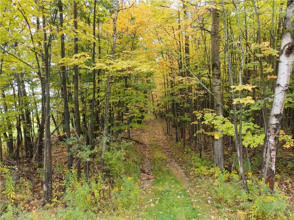 Property at Clark Road, Hornellsville, NY 14843