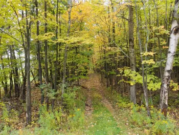 Property at Clark Road, Hornellsville, NY 14843