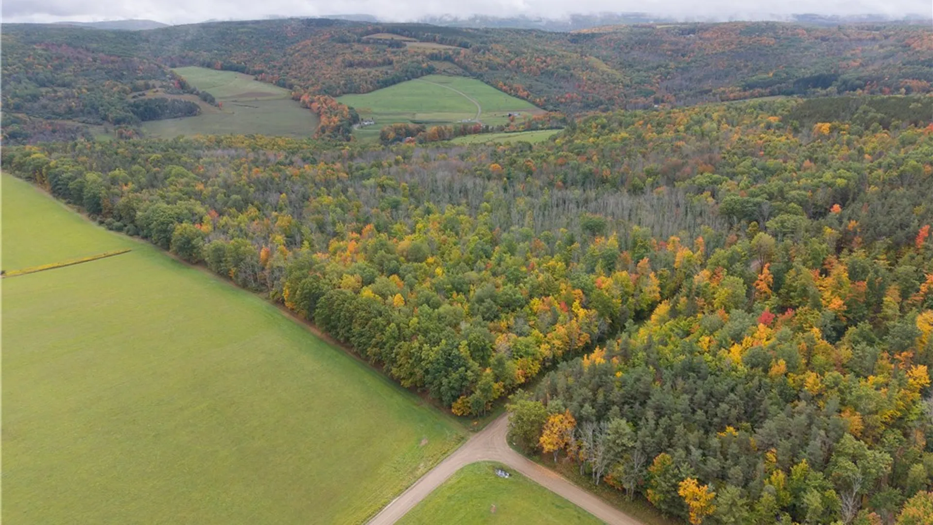 Property at Clark Road, Hornellsville, NY 14843 8